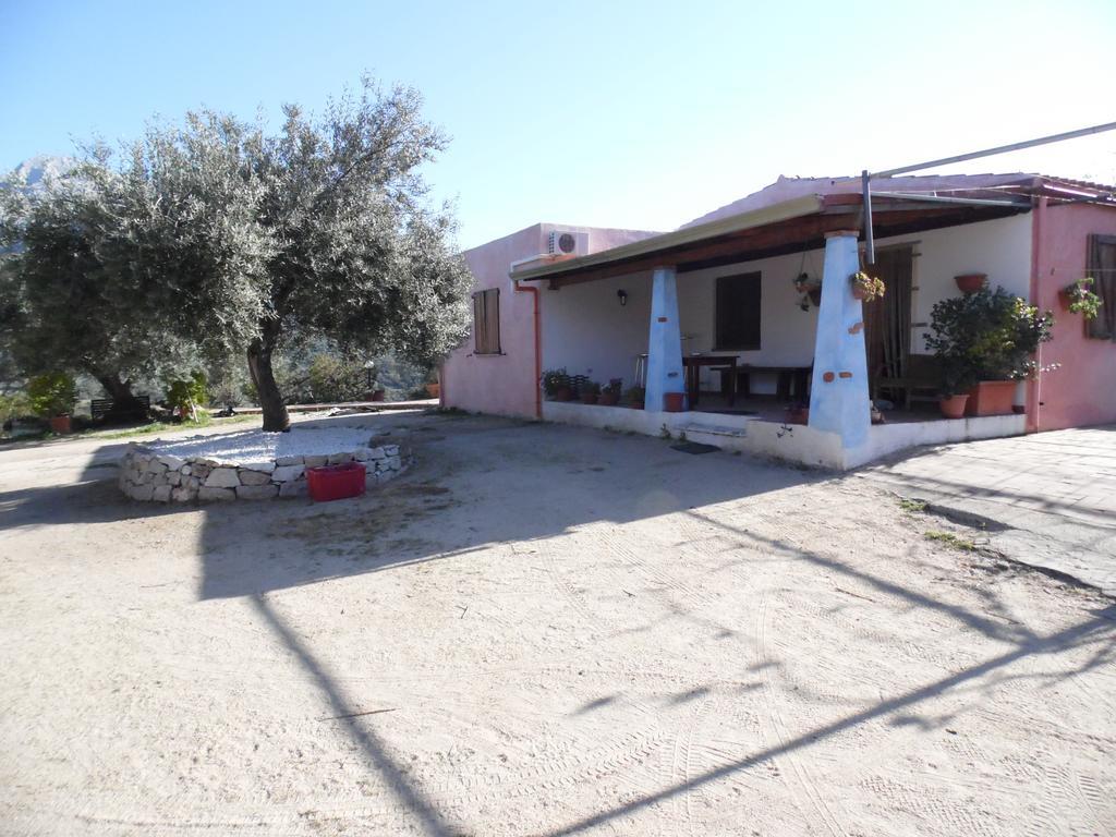 אוליאנה Villa L'Oleandro מראה חיצוני תמונה