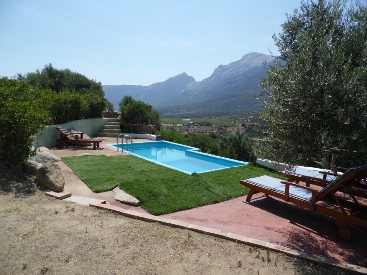 אוליאנה Villa L'Oleandro מראה חיצוני תמונה