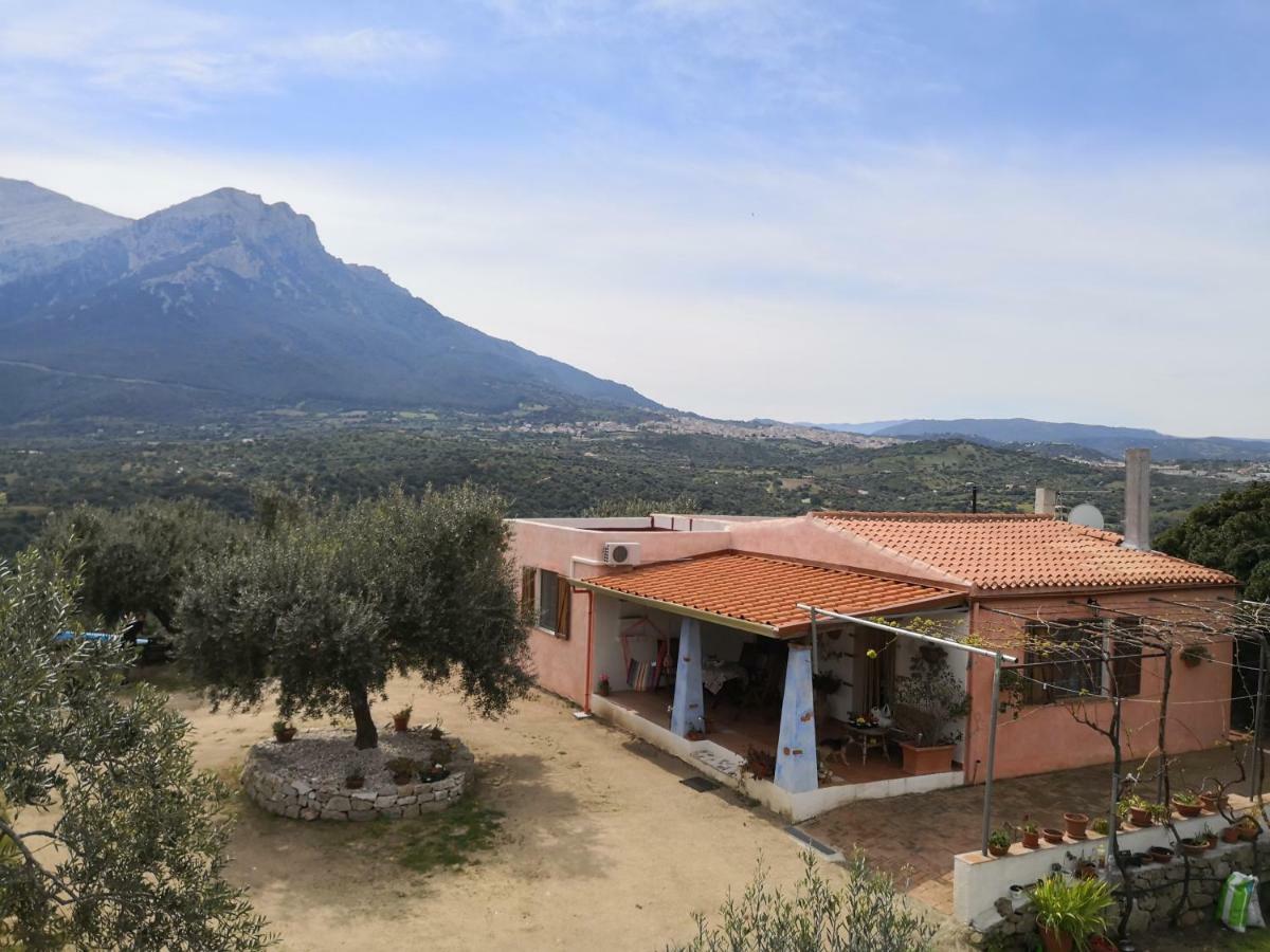 אוליאנה Villa L'Oleandro מראה חיצוני תמונה