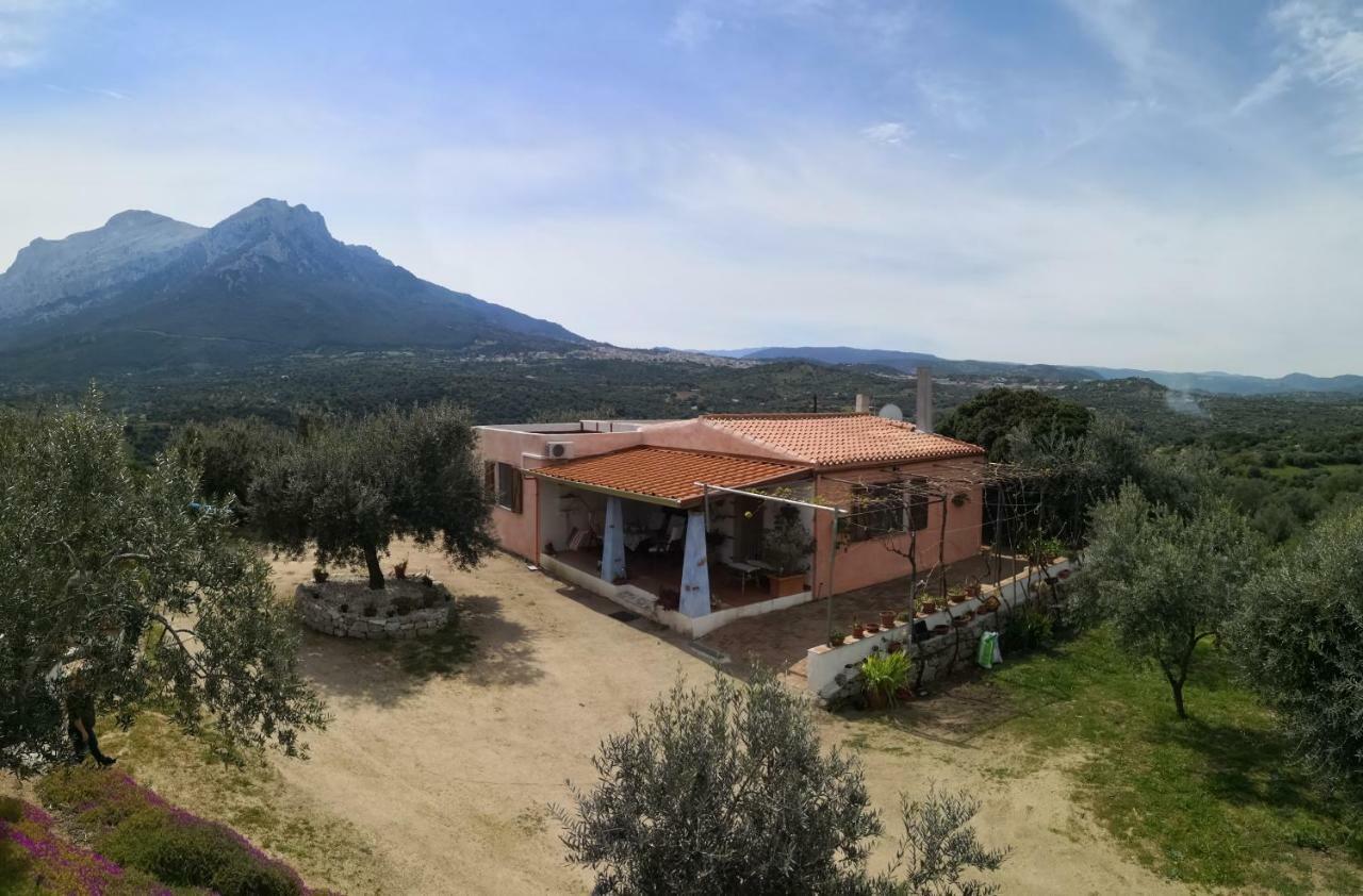 אוליאנה Villa L'Oleandro מראה חיצוני תמונה