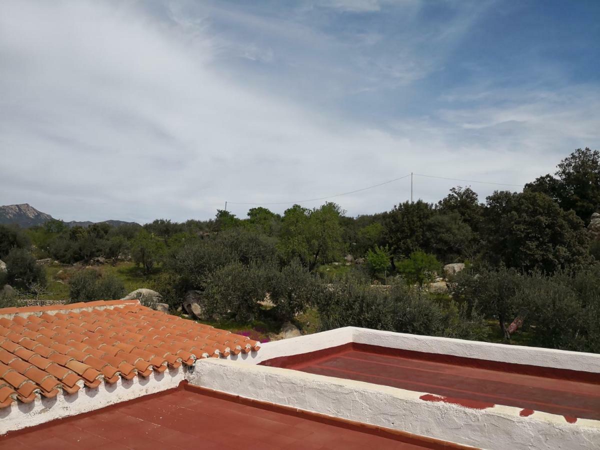 אוליאנה Villa L'Oleandro מראה חיצוני תמונה