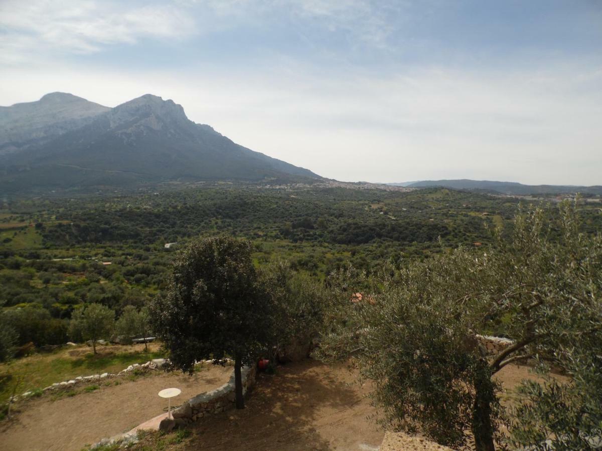 אוליאנה Villa L'Oleandro מראה חיצוני תמונה