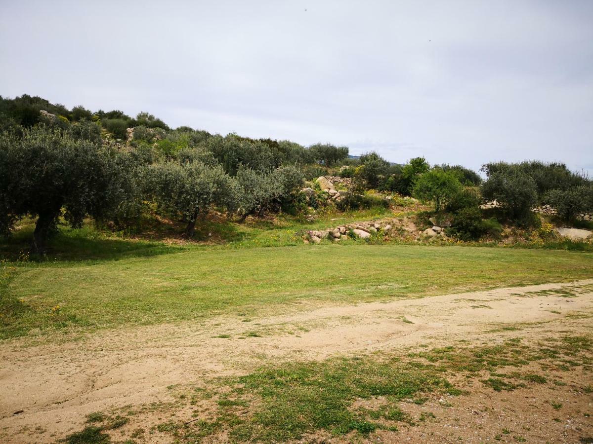 אוליאנה Villa L'Oleandro מראה חיצוני תמונה