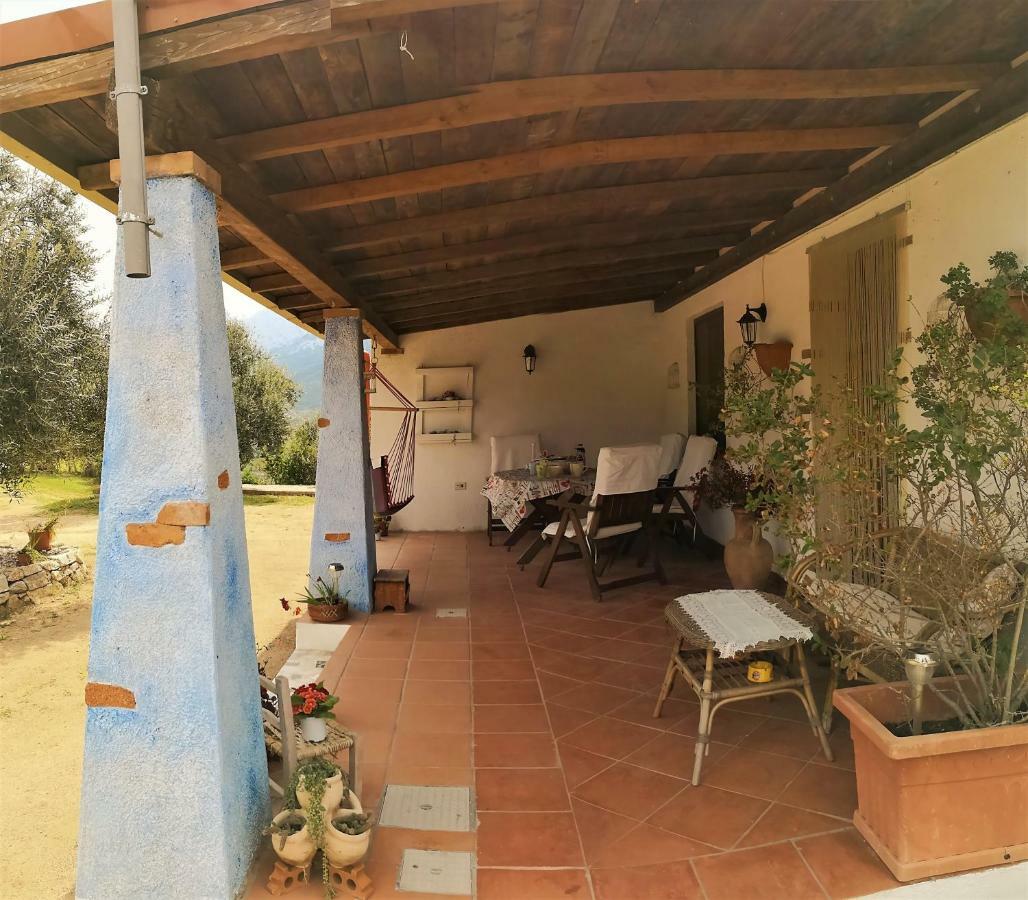 אוליאנה Villa L'Oleandro מראה חיצוני תמונה