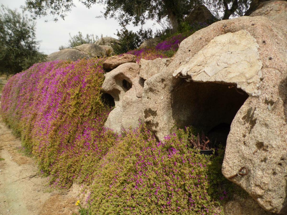 אוליאנה Villa L'Oleandro מראה חיצוני תמונה