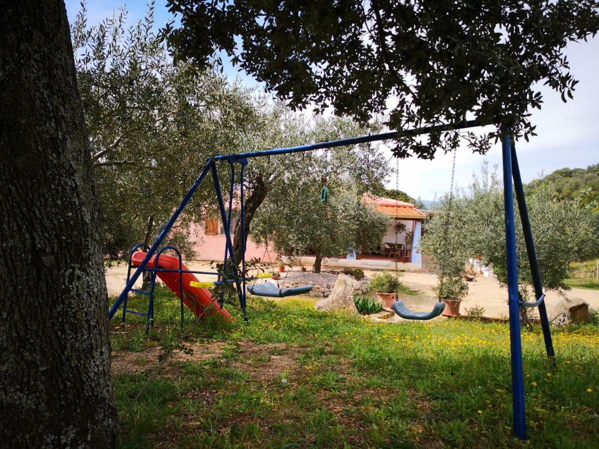 אוליאנה Villa L'Oleandro מראה חיצוני תמונה