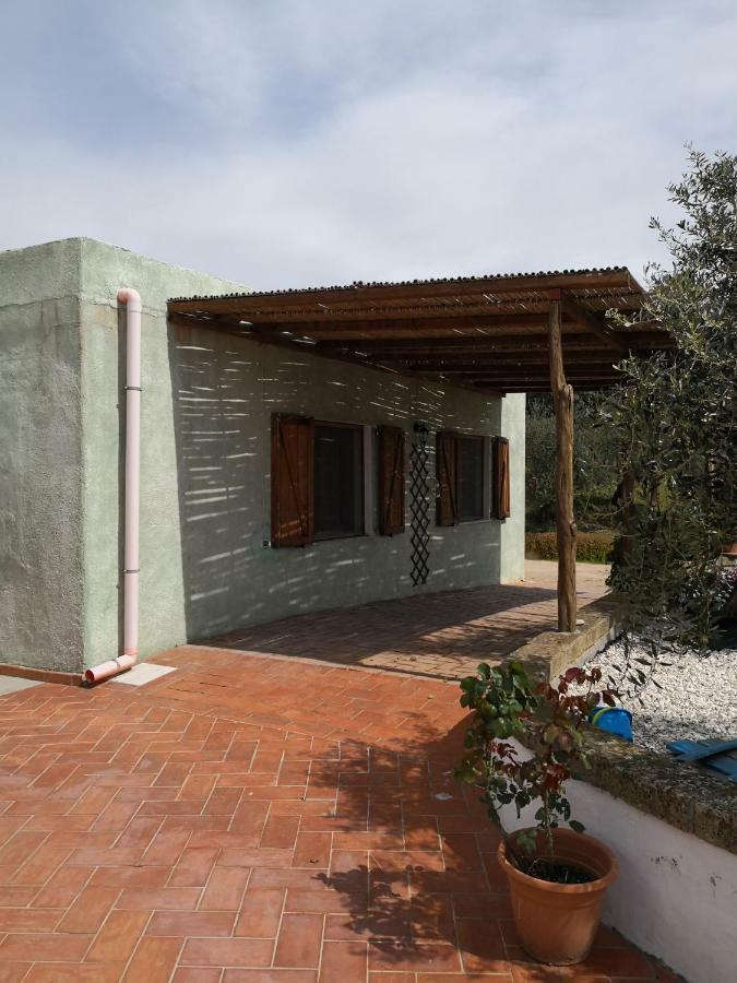 אוליאנה Villa L'Oleandro מראה חיצוני תמונה