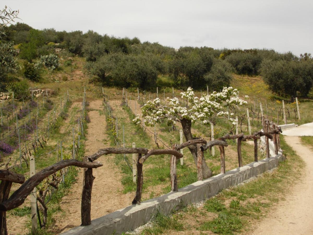 אוליאנה Villa L'Oleandro מראה חיצוני תמונה